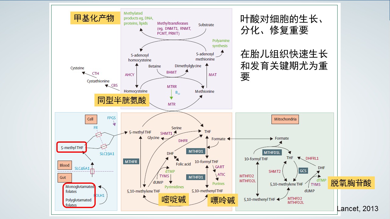 幻灯片8.JPG
