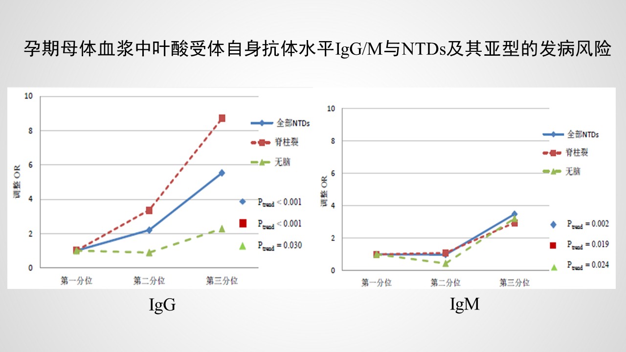 幻灯片19.JPG