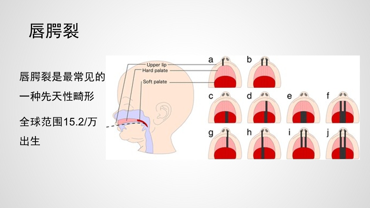 幻灯片20.JPG