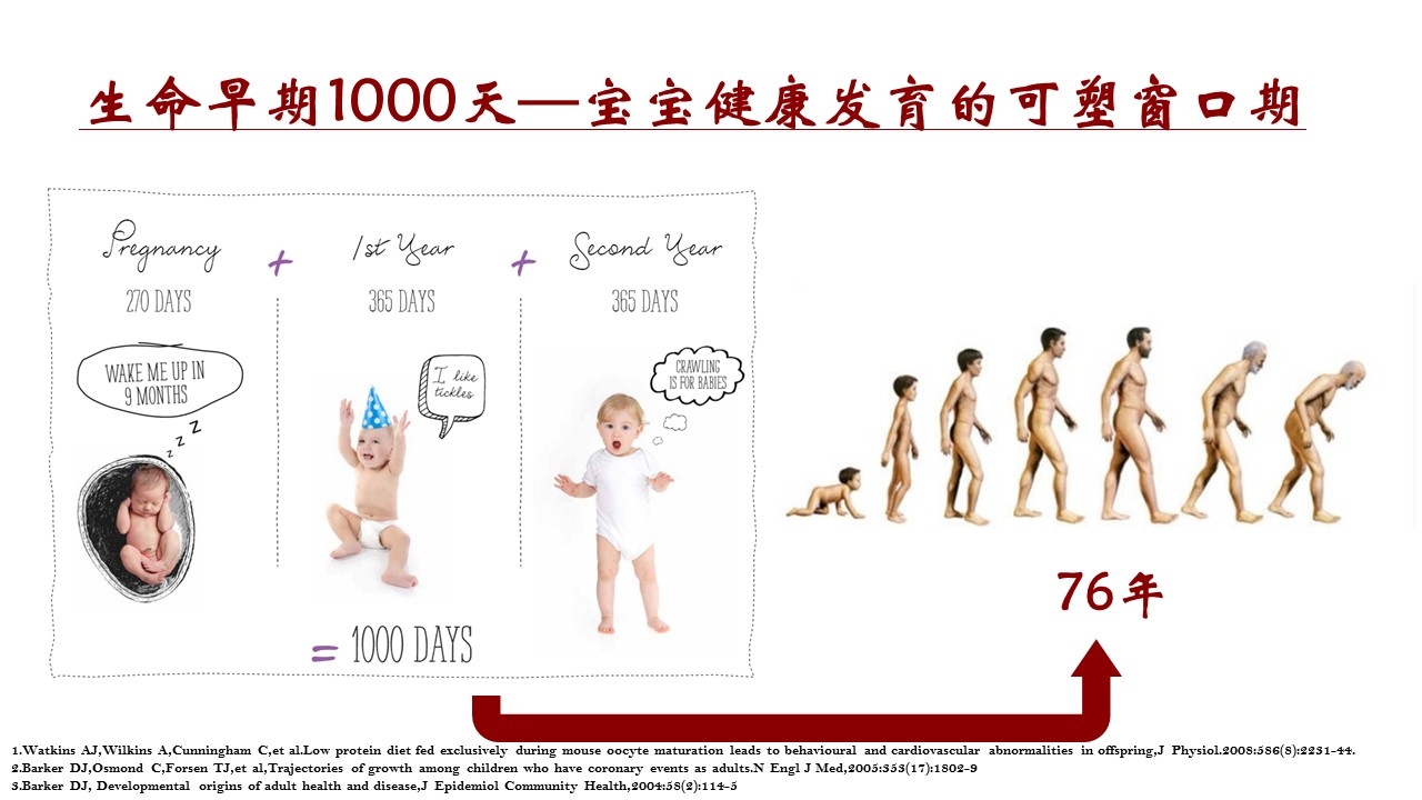 幻灯片4.JPG