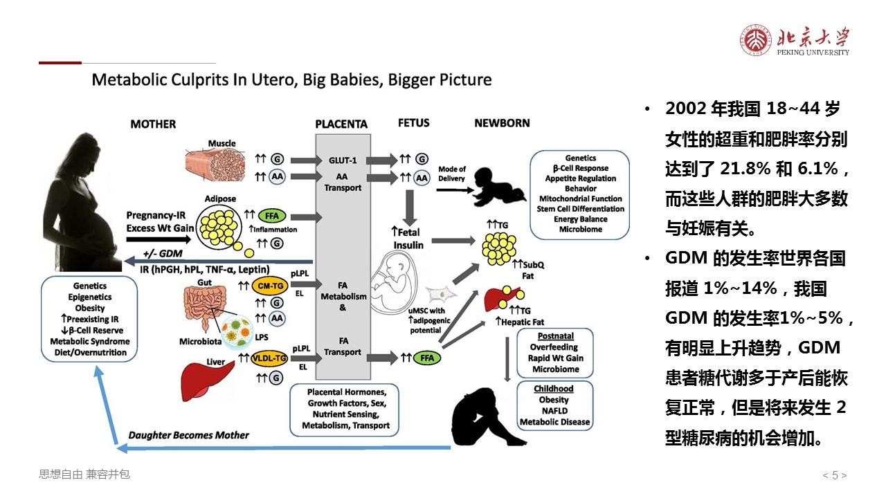 幻灯片5.JPG