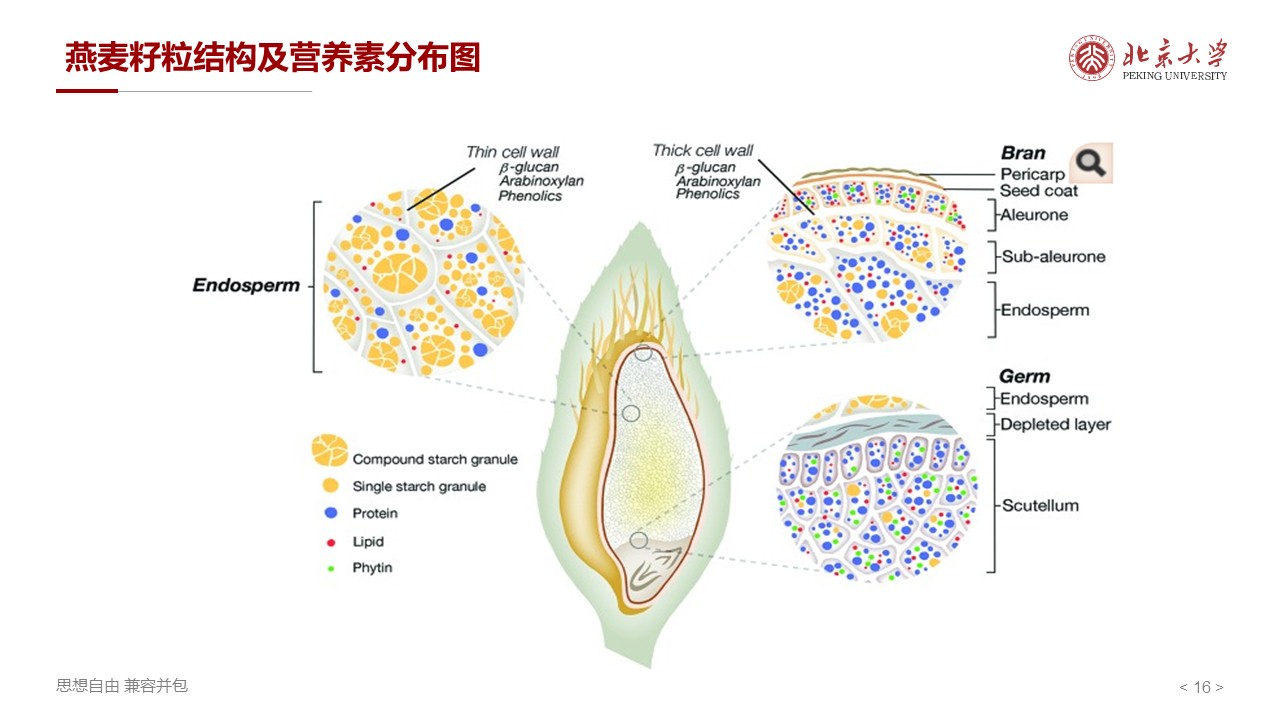 幻灯片16.JPG